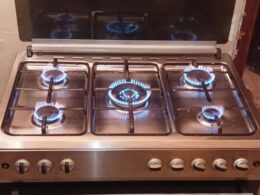 Gas Oven