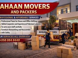 Movers Packers Services